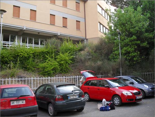 SDC10040.JPG