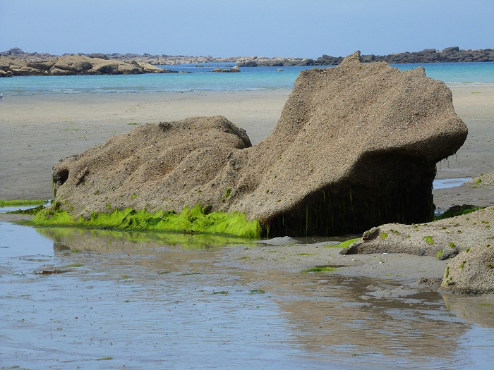 P1020653.JPG