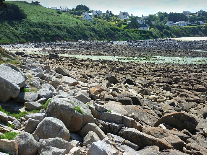 P1020904.JPG