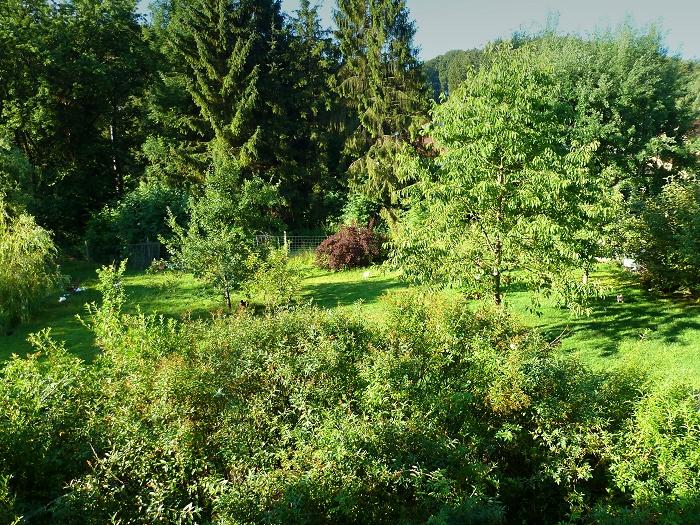 P1020309.JPG