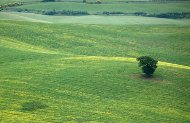Tosk�nska krajina medzi Pienzou a San Quiricom d�Orcia