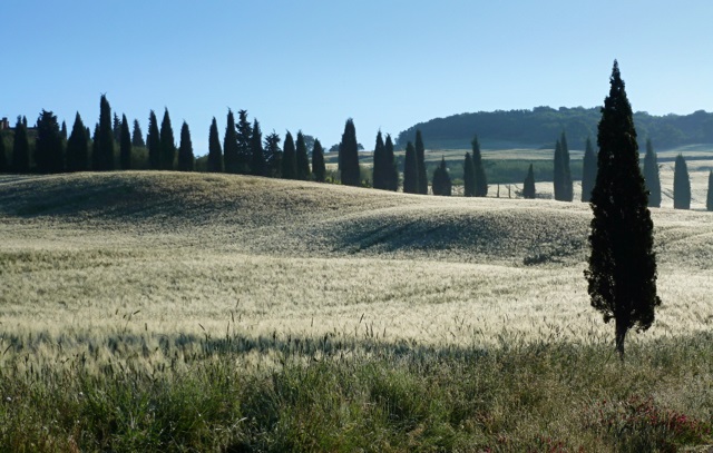 O siedmej r�no na Strada provinciale del Monte Amiata