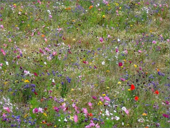 Popis: SDC10396.JPG