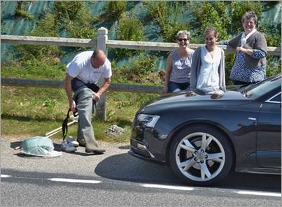 D6.JPG