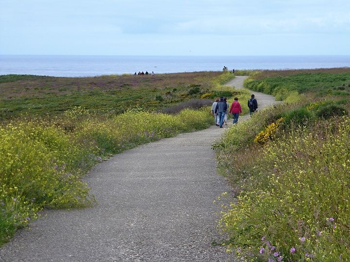 Chodn�k okolo mysu Pointe du Raz