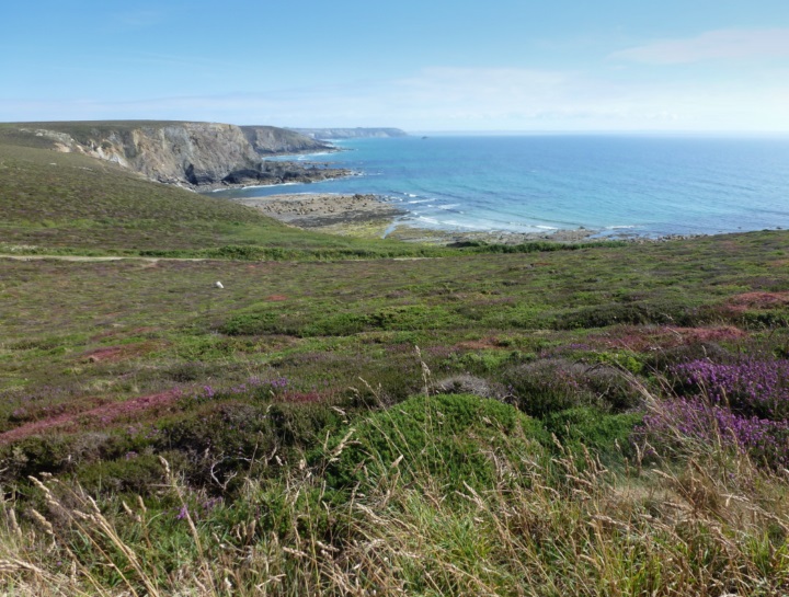 C9.JPG