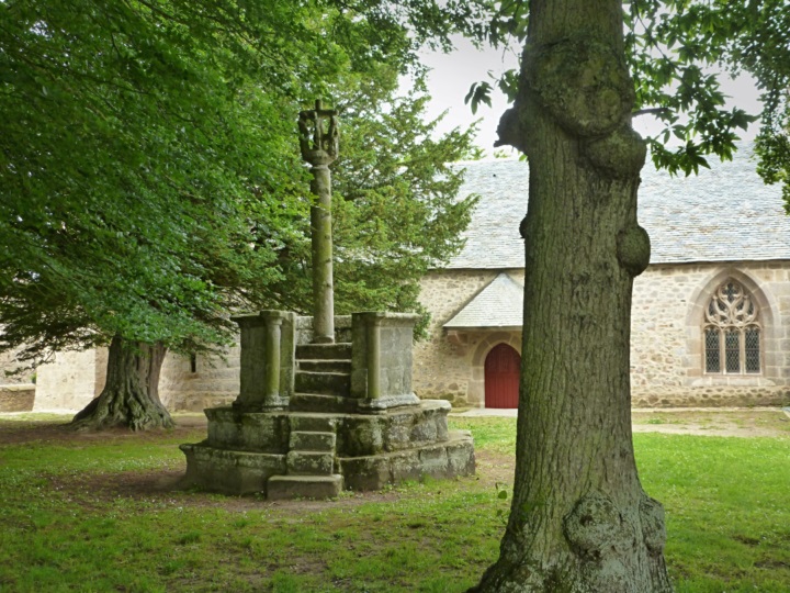 J6.jpg